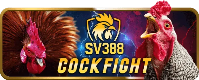 Đội tuyển eSports đang thi đấu trong giải đấu lớn